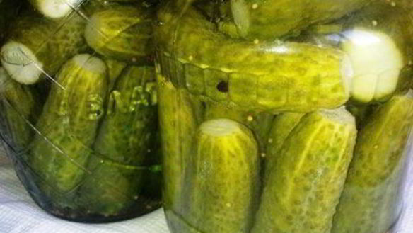 ШАГ 7. огурцы маринованные на зиму