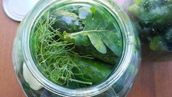 ШАГ 2. огурцы маринованные с зернами горчицы и паприкой на зиму