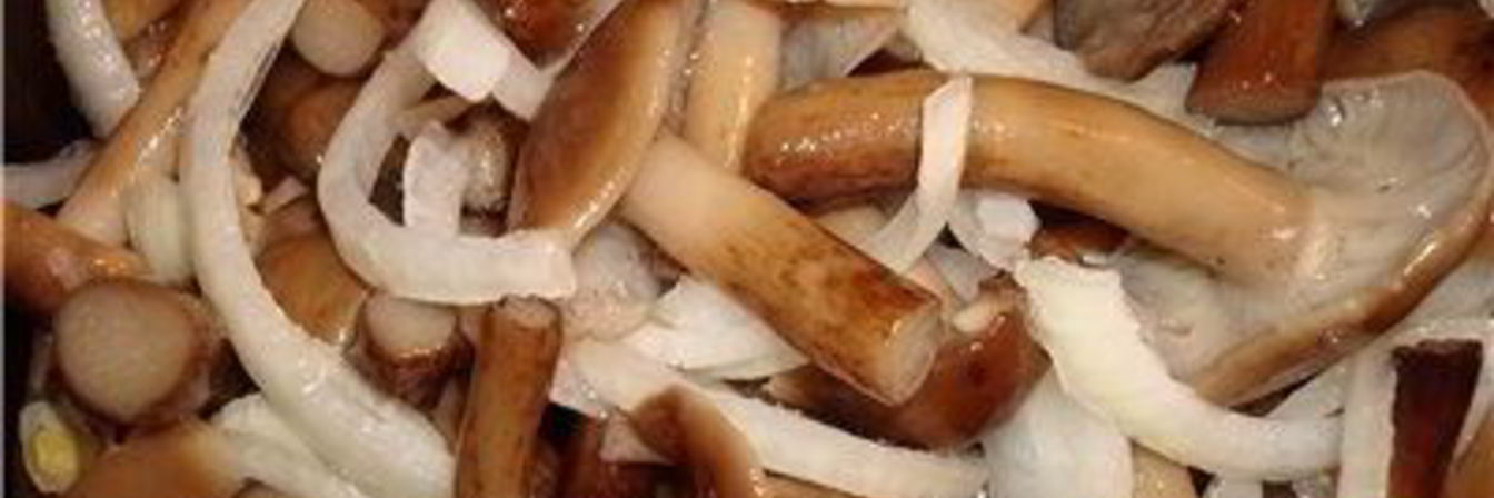 Опята маринованные с луком на зиму