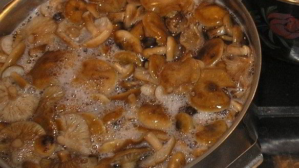 ШАГ 2. опята маринованные с луком на зиму