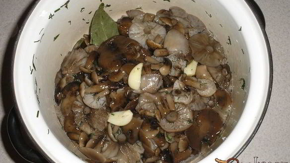 ШАГ 4. опята маринованные с луком на зиму