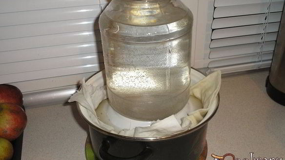 ШАГ 5. опята маринованные с луком на зиму