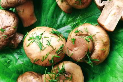 Шампиньоны маринованные