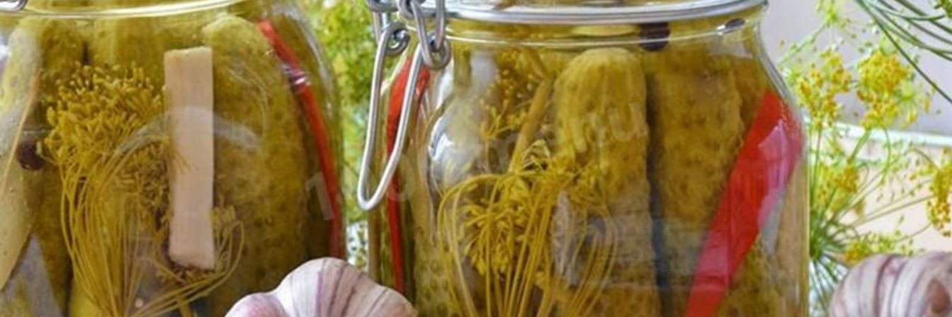 Огурцы на зиму пальчики оближешь без стерилизации