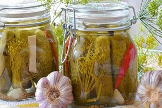 Огурцы на зиму пальчики оближешь без стерилизации