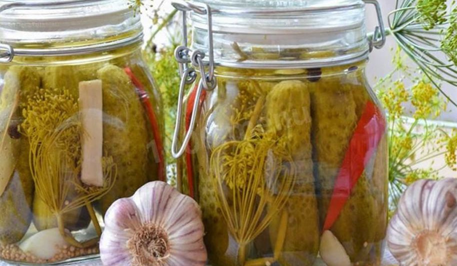 Рецепт огурцы на зиму пальчики оближешь без стерилизации