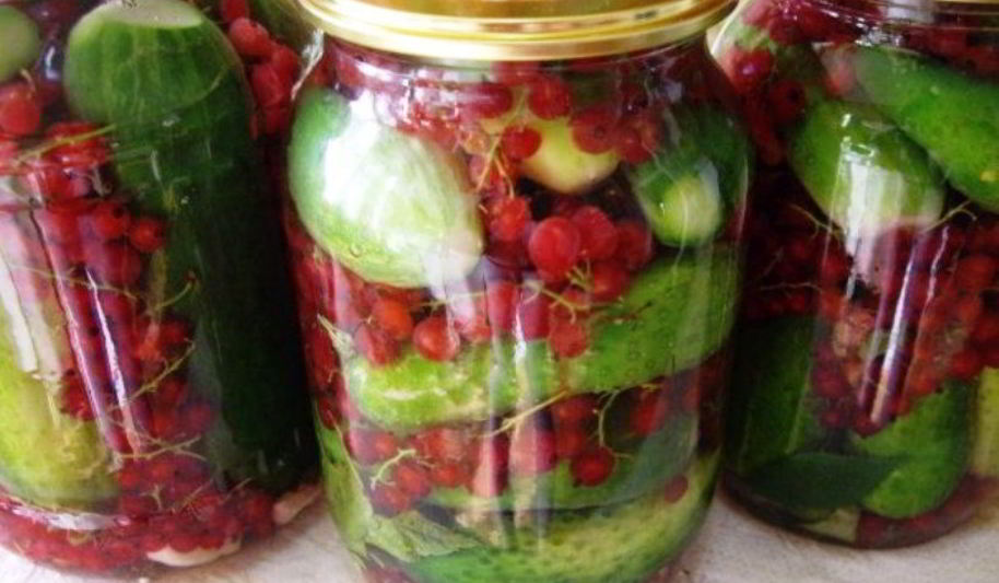 Рецепт огурцы на зиму со смородиной