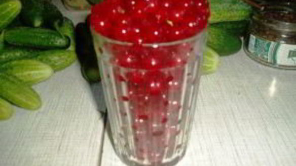 ШАГ 3. огурцы на зиму со смородиной