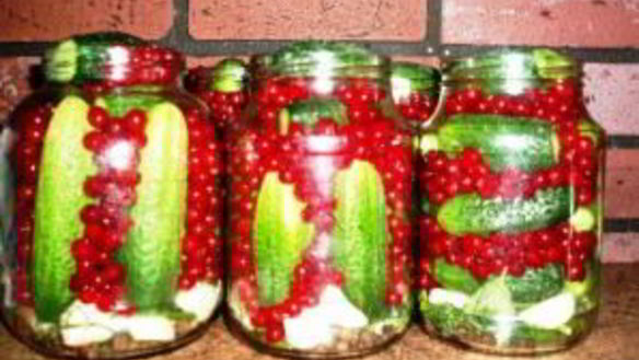 ШАГ 4. огурцы на зиму со смородиной