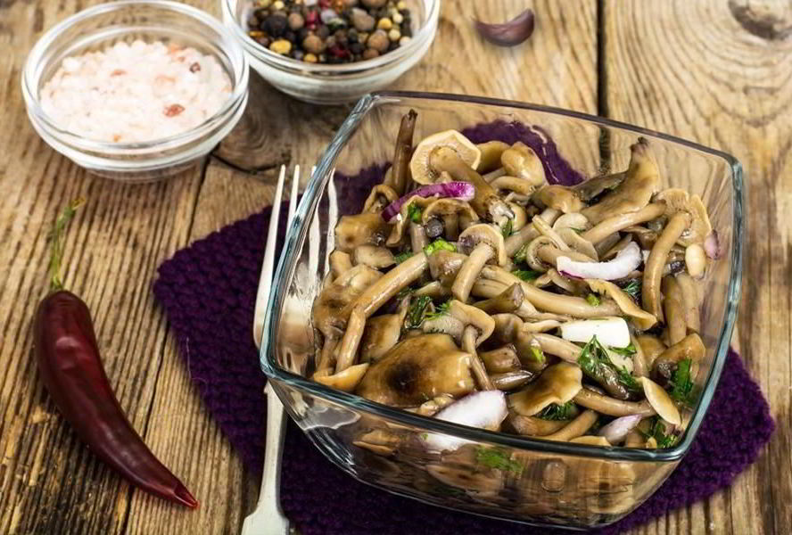 Опята соленые на зиму