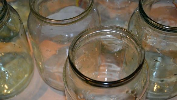 ШАГ 3. острые огурчики на зиму