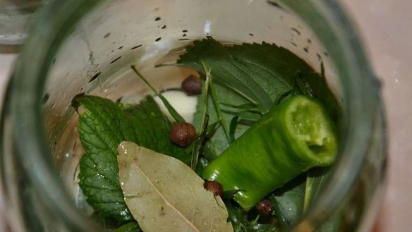 ШАГ 4. острые огурчики на зиму