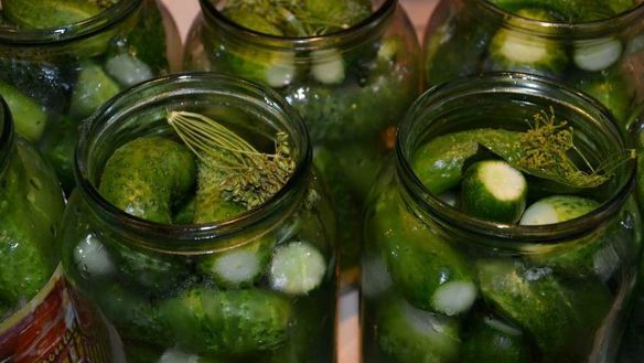 ШАГ 6. острые огурчики на зиму