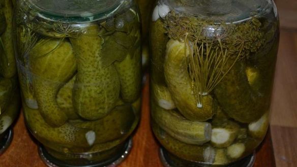 ШАГ 7. острые огурчики на зиму