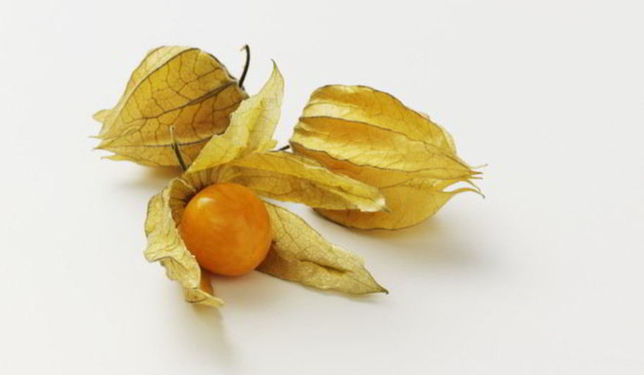 Рецепт овощной физалис на зиму