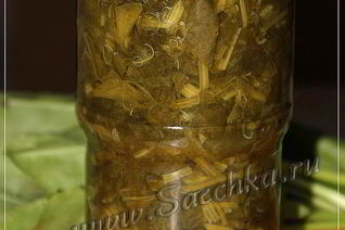 Щавель на зиму