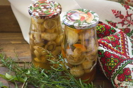 Шампиньоны на зиму