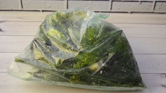 ШАГ 4. малосольные огурцы в пакете