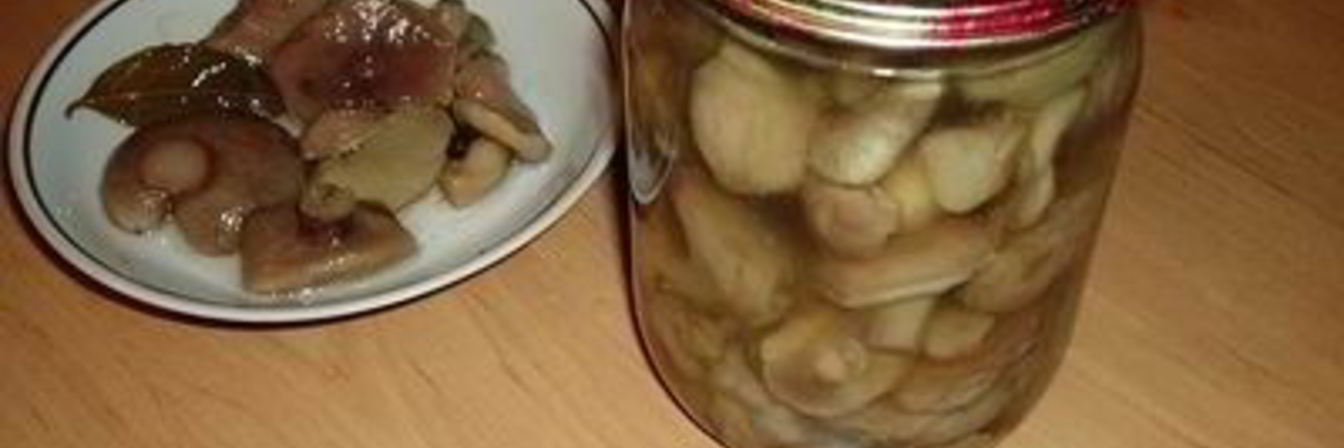Соленые маслята на зиму