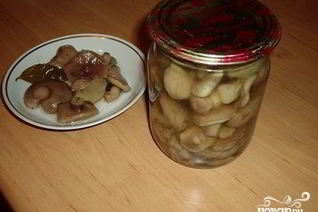 Соленые маслята на зиму