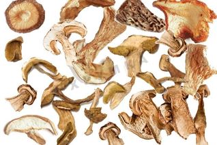 Сушка грибов в духовке