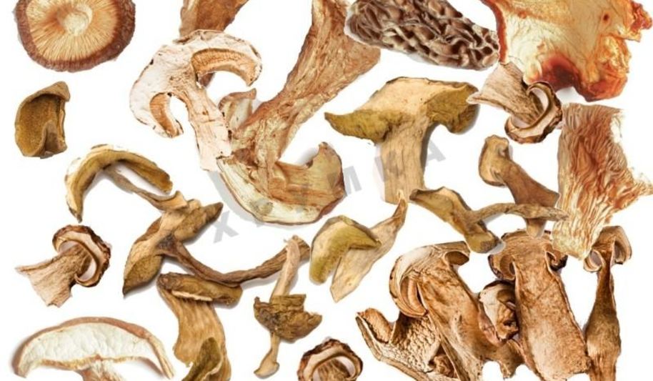 Рецепт сушка грибов в духовке