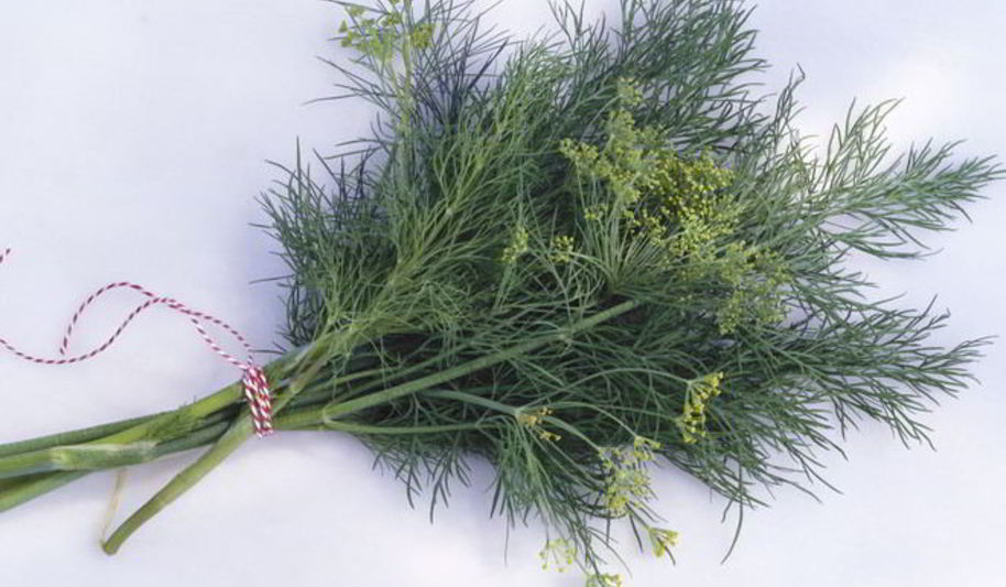 Рецепт укроп с чесноком