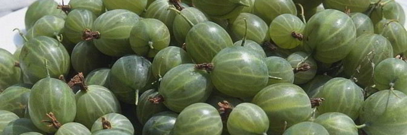 Царское варенье из крыжовника