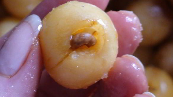 ШАГ 3. варенье из белой черешни