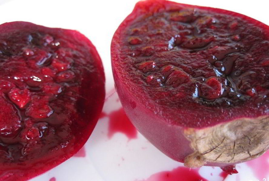 Варенье из кактуса