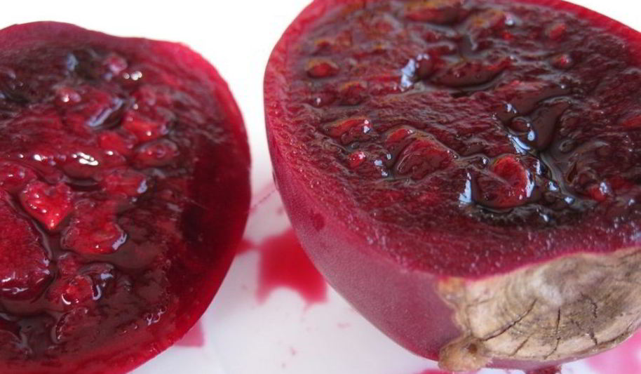 Рецепт варенье из кактуса