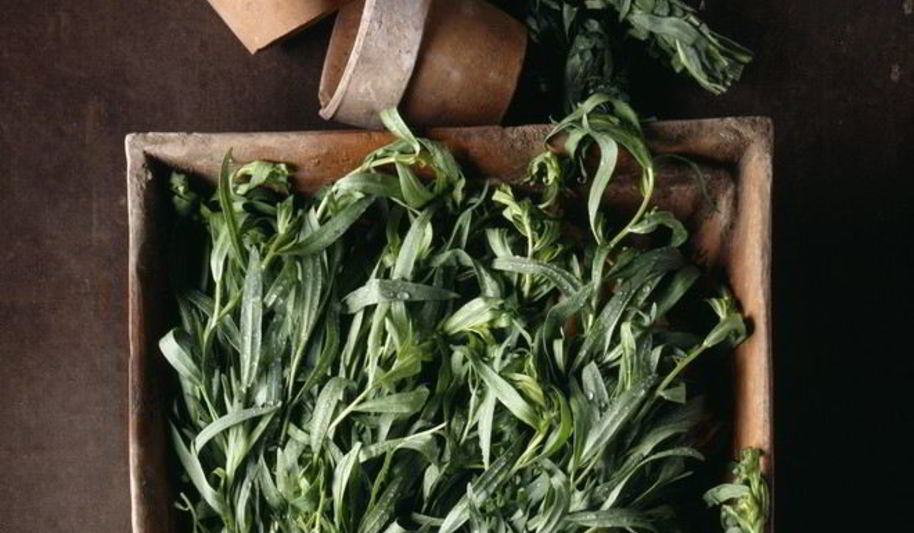 Рецепт варенье из тархуна