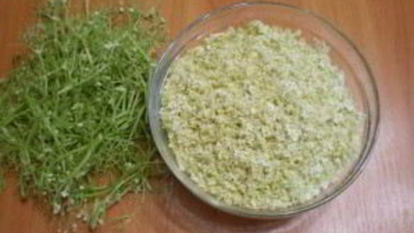 ШАГ 2. варенье из цветков бузины