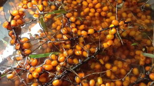 ШАГ 2. желейное варенье из облепихи