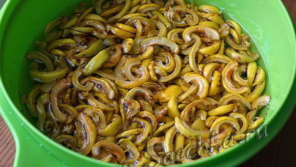 ШАГ 9. японская айва на зиму