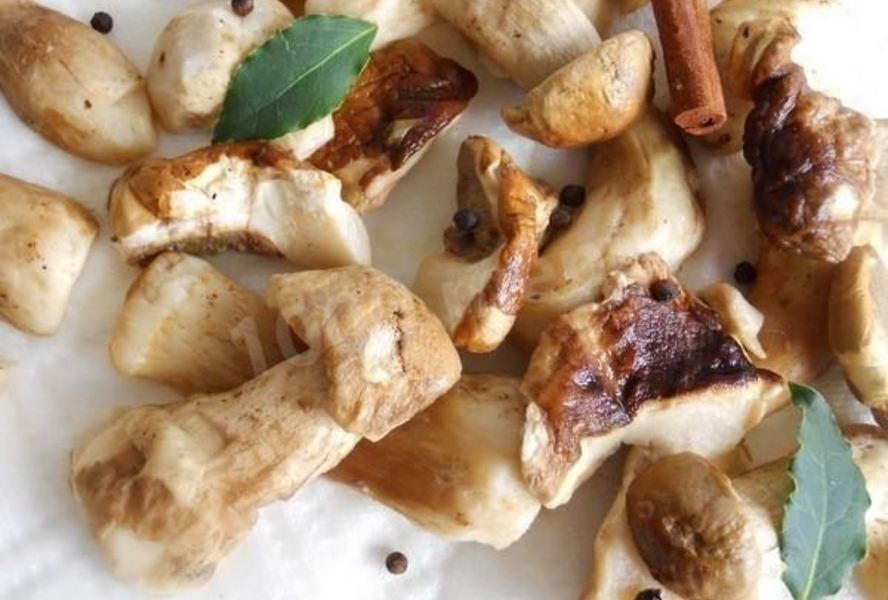 Заготовка грибов замороженных на зиму