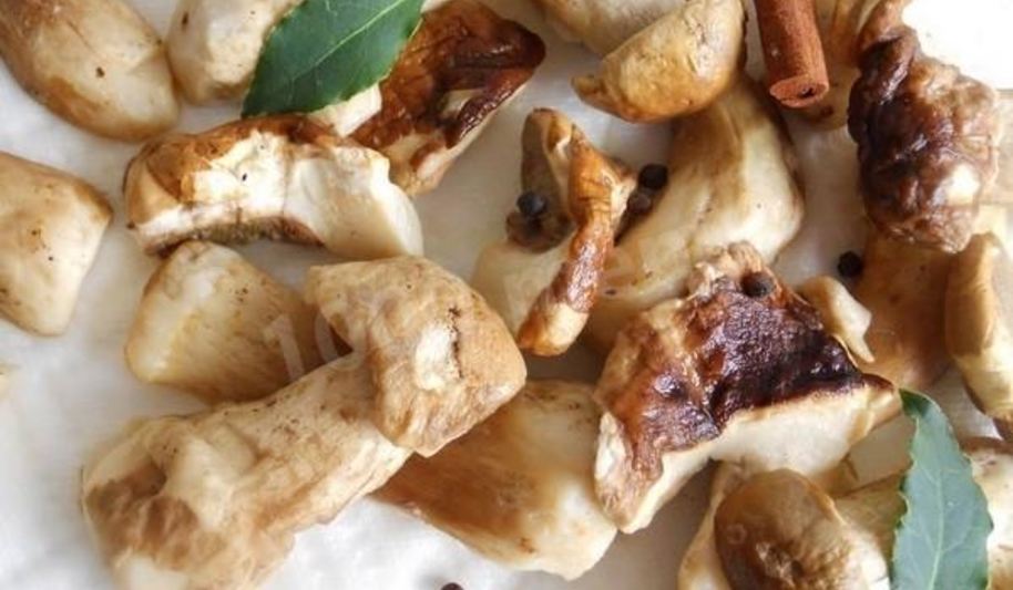 Рецепт заготовка грибов замороженных на зиму