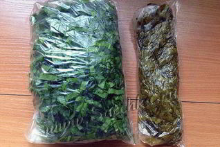 Заготовка щавеля на зиму