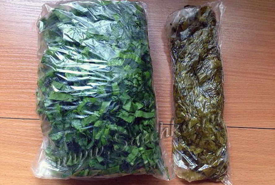 Заготовка щавеля на зиму