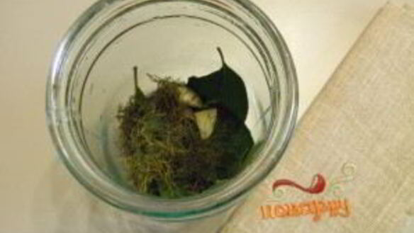 ШАГ 2. закатка томатов на зиму