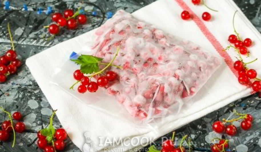 Рецепт заморозка красной смородины на зиму