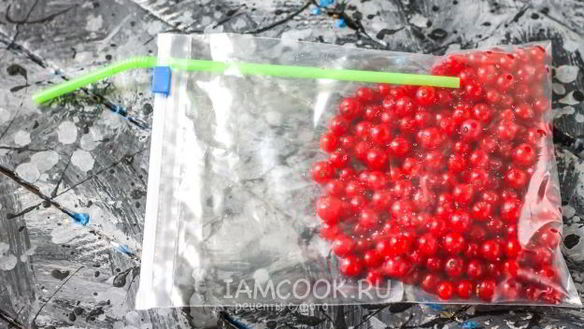 ШАГ 8. заморозка красной смородины на зиму