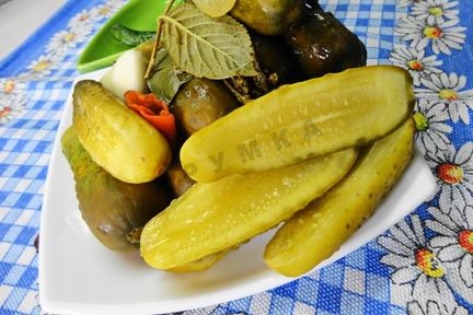 Засолка бочковых огурцов на зиму