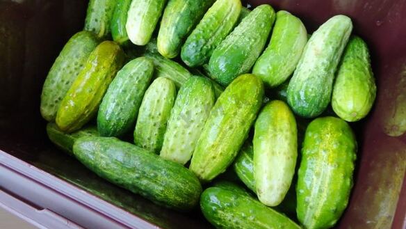 ШАГ 5. засолка бочковых огурцов на зиму