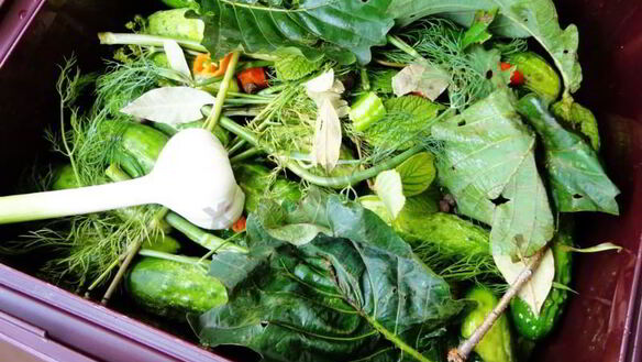 ШАГ 6. засолка бочковых огурцов на зиму