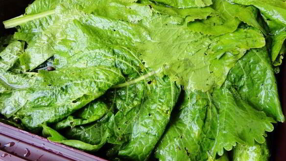 ШАГ 8. засолка бочковых огурцов на зиму