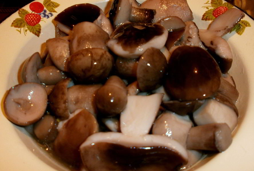 Жареные белые грибы на зиму