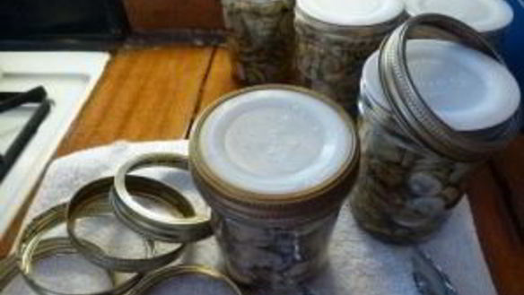 ШАГ 3. жареные белые грибы на зиму