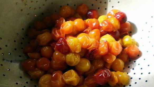 ШАГ 2. желе из алычи на зиму