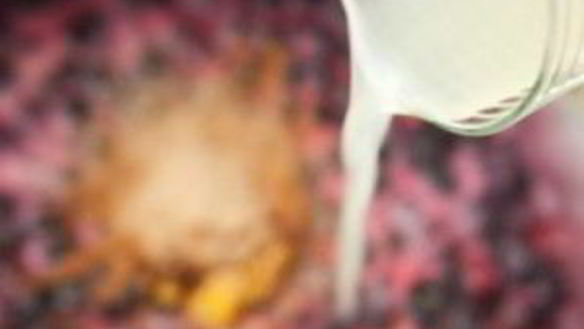 ШАГ 5. желе из ягод на зиму